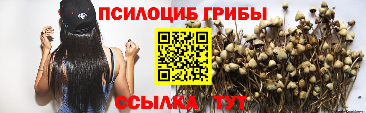 Галлюциногенные грибы мицелий  Вход с VPN  Протвино 