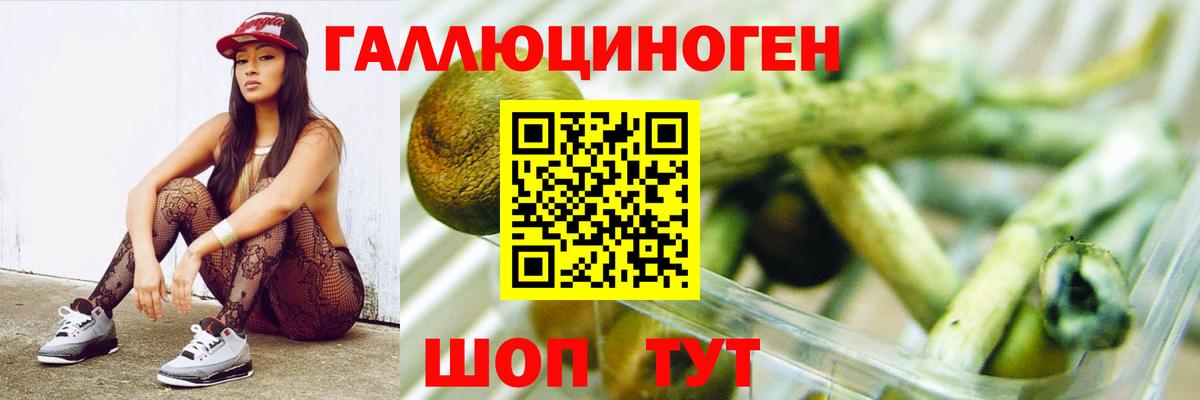 Псилоцибиновые грибы Cubensis Протвино